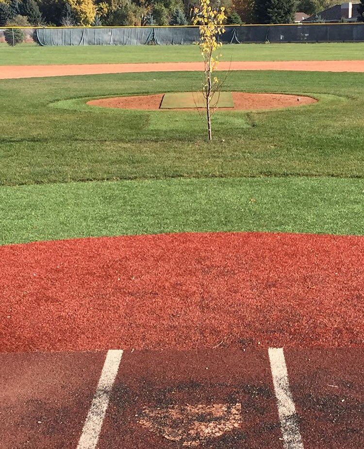 S/O to the football team for planting a tree on the baseball field???? #TakeState