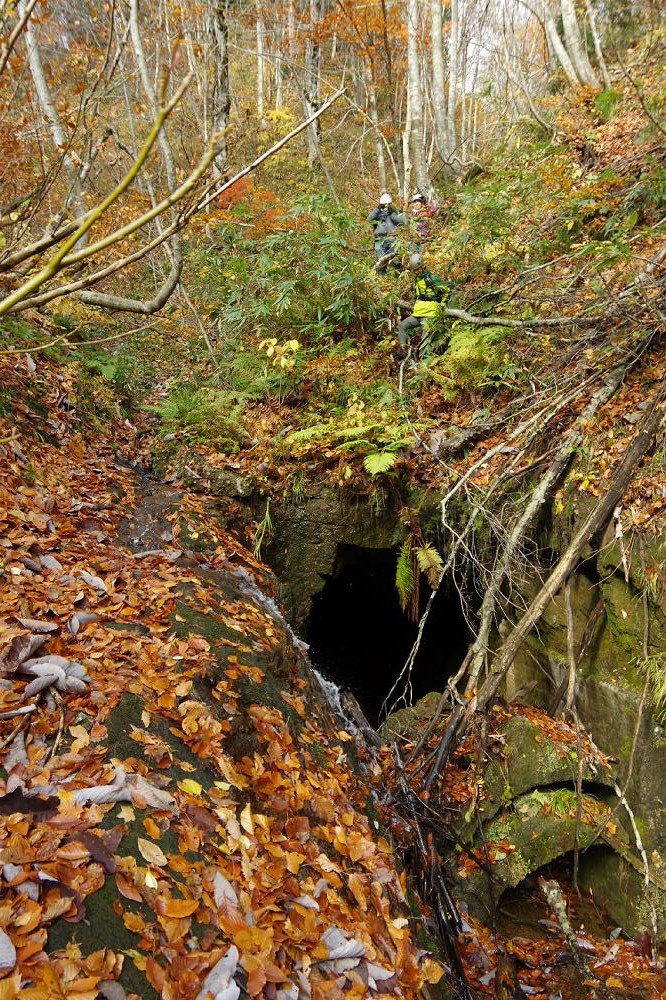ヨッキれん 平沼義之 A Twitter 500mクラスの大隧道が連続し 5 5kmのうち3kmが隧道という 林鉄界の地下鉄 こと 森吉森林鉄道の 森吉ダム付替区間へ 何度目かの再訪をしてきました 写真は 4号隧道東口 と 5号隧道内部の誤掘削による進路変更急カーブ