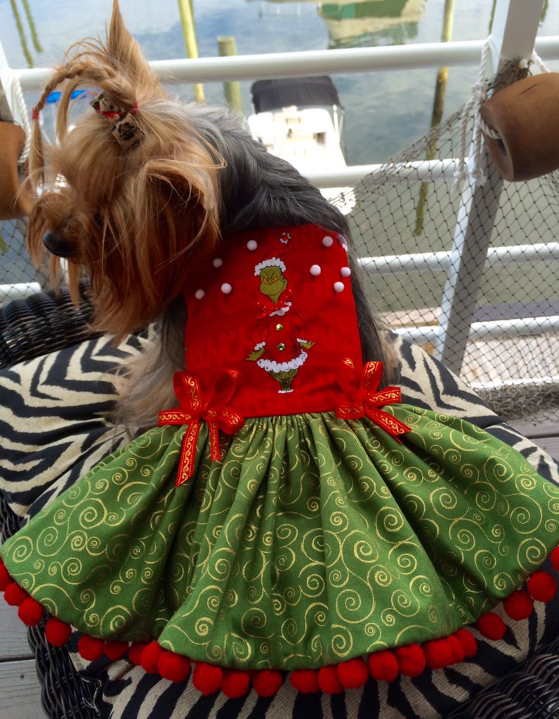 Baby Girl modeling "The Grinch" holiday dress from Belle Diva Couture #beautifulyorkie #christmasdress