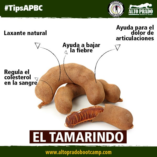 altopradobootca's tweet photo. El tamarindo tiene tiamina, vitamina para el buen funcionamiento de los nervios, los músculs y el sistema digestivo https://t.co/EX14srVKdU
