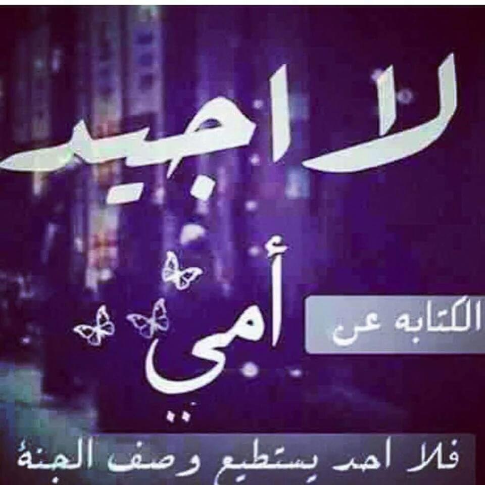 امي اغلى انسانه في حياتي