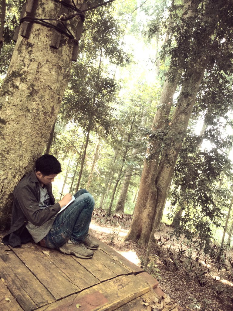 dhanzerr's tweet photo. #sejuk #alamituindah https://t.co/A5yUkuwD5U