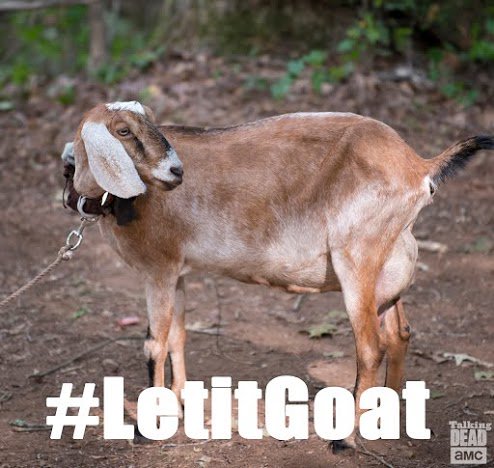 AMCTalkingDead's tweet photo. Because Tabitha is our spirit animal. #LetitGoat https://t.co/BsgM8M8QZG