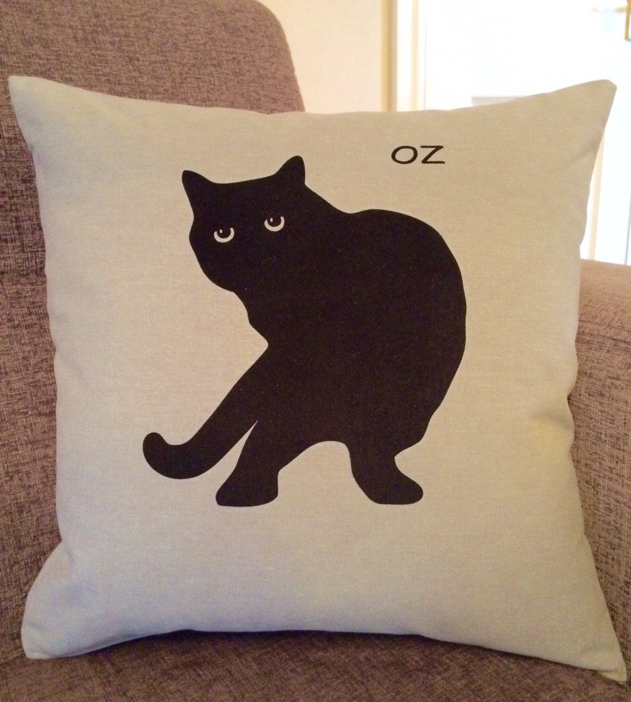 style_shack's tweet photo. Cat lovers, could you Rt our fab Personalised Cushions please? More colours+any name here  https://t.co/EcoTzehVjK https://t.co/yEk8Xuqa4P