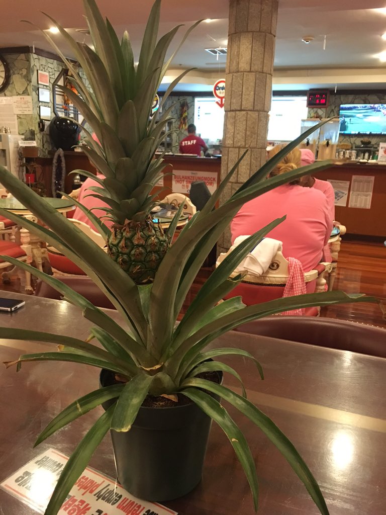 mamacayc's tweet photo. Ahhhhhhhhh!!!  Time at the King!! https://t.co/GCnVXODMbM