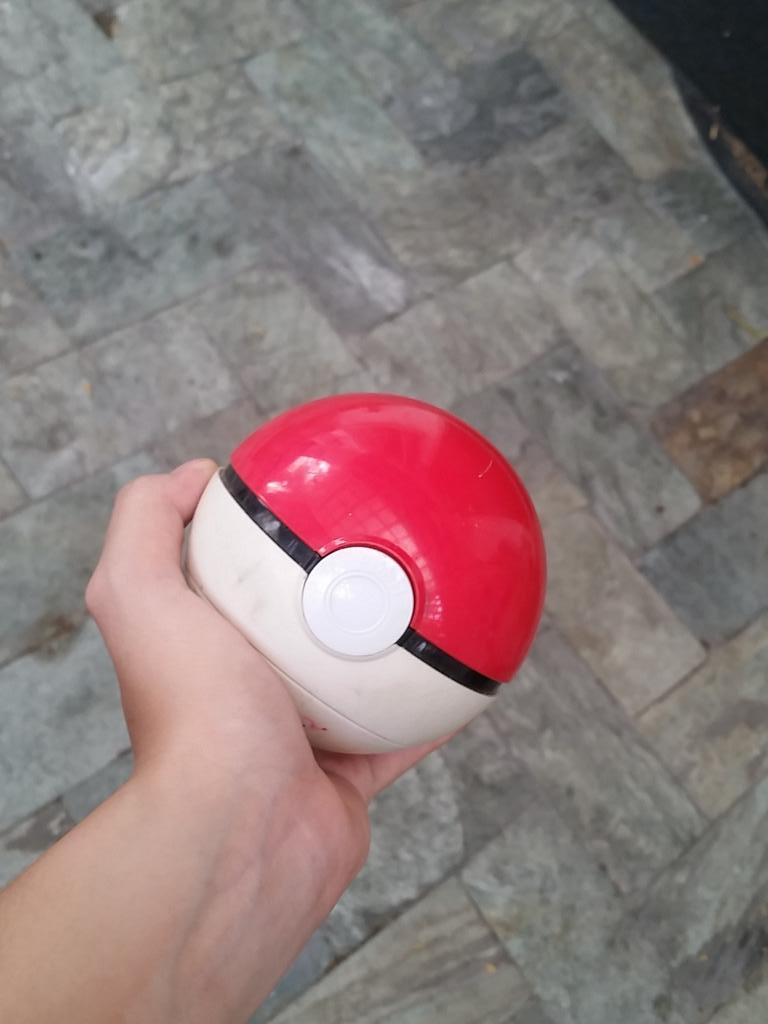 maraedmngz's tweet photo. Omw to steal ya girl bruh..

pokemon style https://t.co/CiMRZeNjLV