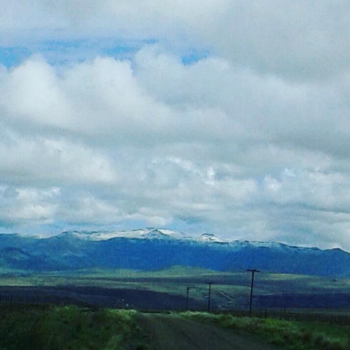 Skyrun presented by <a href="/Salomon_SA/">Salomon South Africa</a>  route this morning....#hellofarun #weatherisalwaysafactor