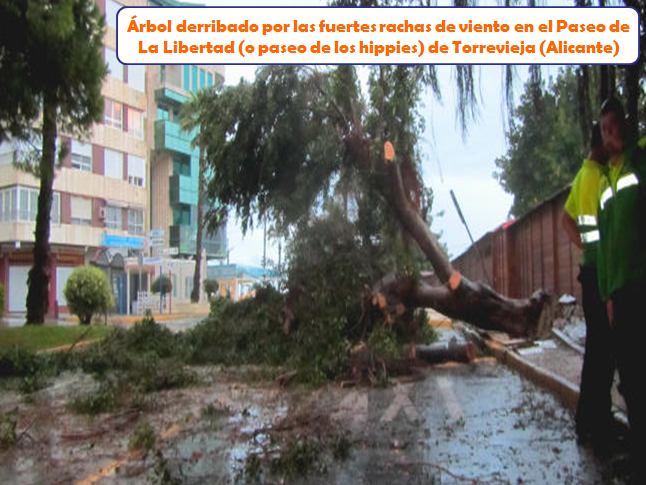 CSyolP6W4AALvOV.png:large