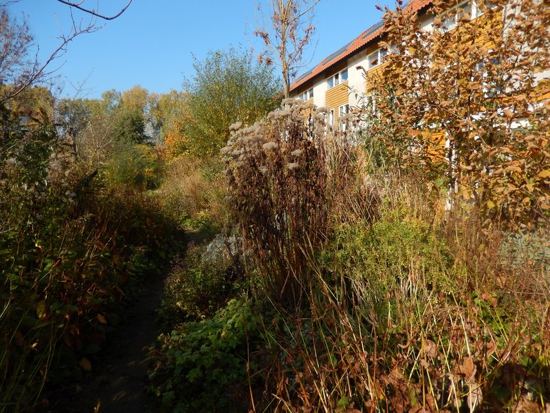 vlinderNL's tweet photo. Zo, deze tuin in prima #winterklaar! https://t.co/BGZEVI2QLp