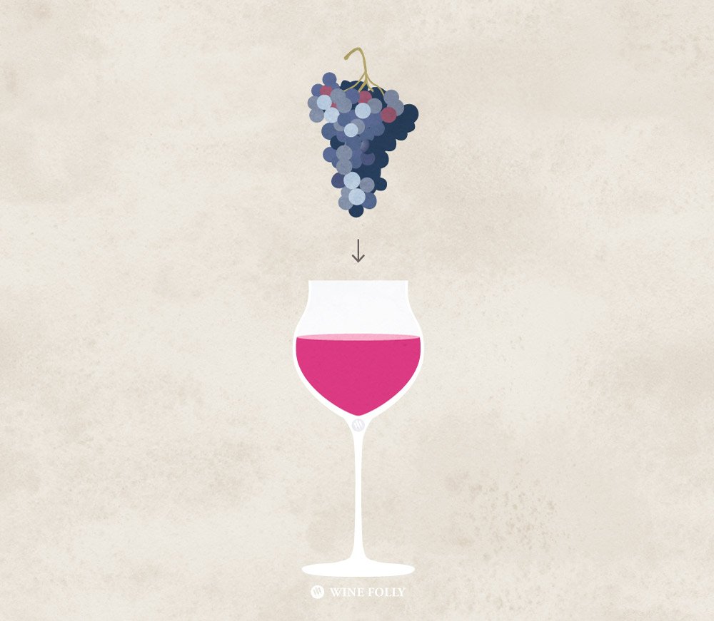 alawine's tweet photo. What IS #wine exactly?? RT @morrellwine: https://t.co/sSNDJn5XWw #MorrellWine #wines https://t.co/m4YXR4xw5T