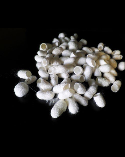 MarleyPaige2's tweet photo. #ethicallysourced #silkcocoons #exclusive to #natureinstyle #natural #skincare #exfoliation #cleansing https://t.co/2kV0BAr3Zx