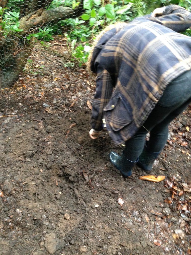 productionlucy's tweet photo. Digging for worms, glamorous life in production https://t.co/3K36BQj72f