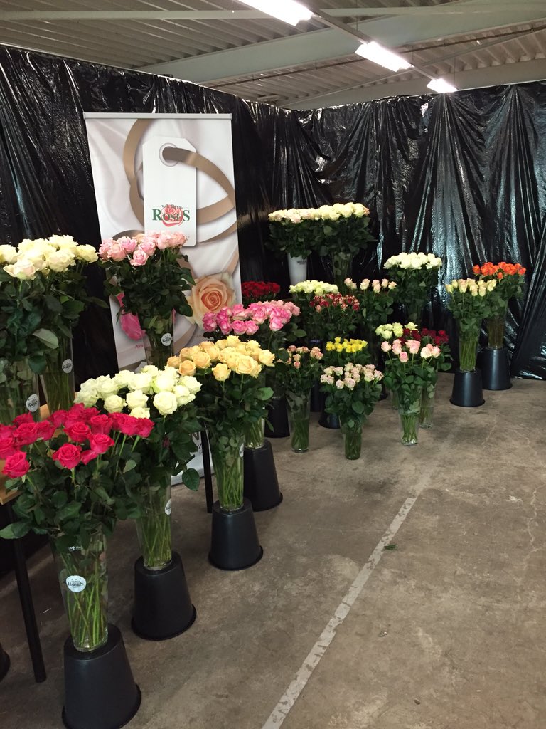 mikeduif's tweet photo. De opbouw van onze inhouse show is begonnen @HIP_Aalsmeer #TradeFair2015 https://t.co/mHGoUW2XLR