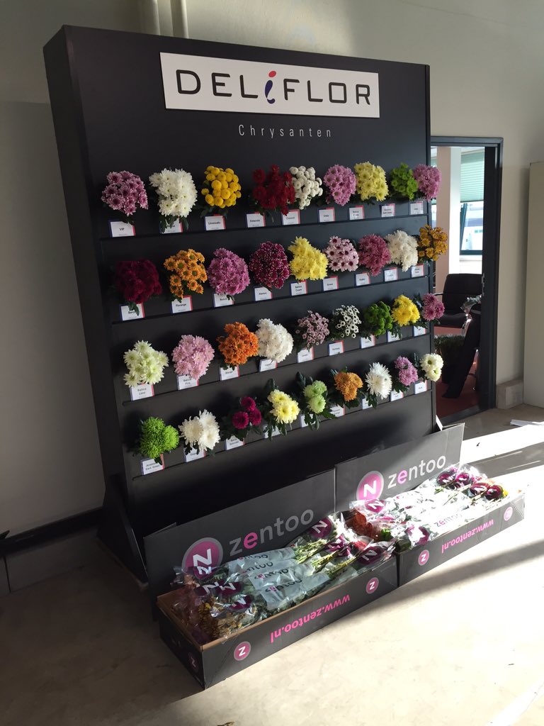 mikeduif's tweet photo. De opbouw van onze inhouse show is begonnen @HIP_Aalsmeer #TradeFair2015 https://t.co/mHGoUW2XLR