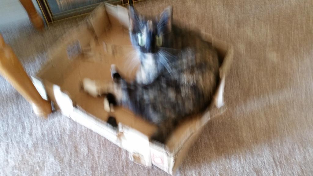 FainKenneth's tweet image. 