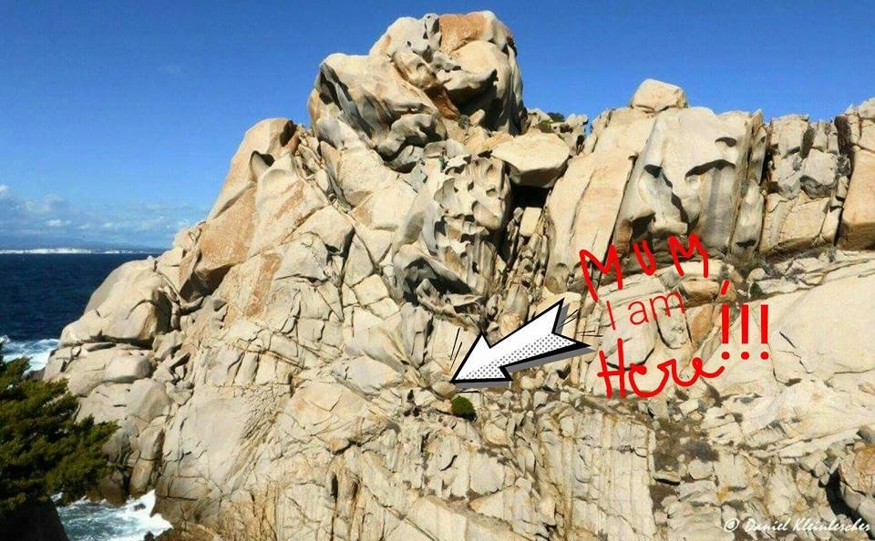 Iloveclimbing's tweet image. Message for your mother when you're on #climbing holiday...!
#iloooveit #Nostress