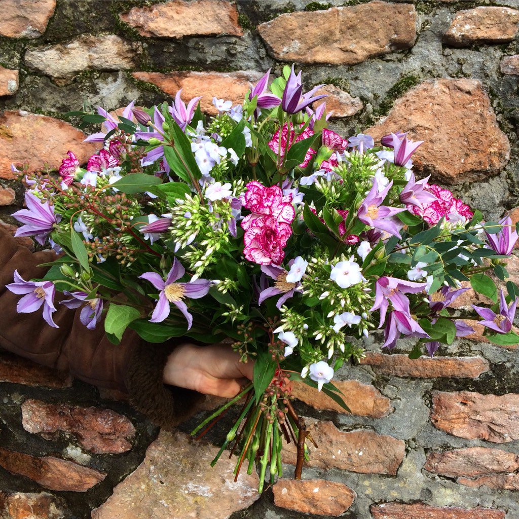 FoxandCatFlower's tweet photo. Pinks and purples with Clematis, Dianthus and Phlox https://t.co/7qBtSBAQ6z