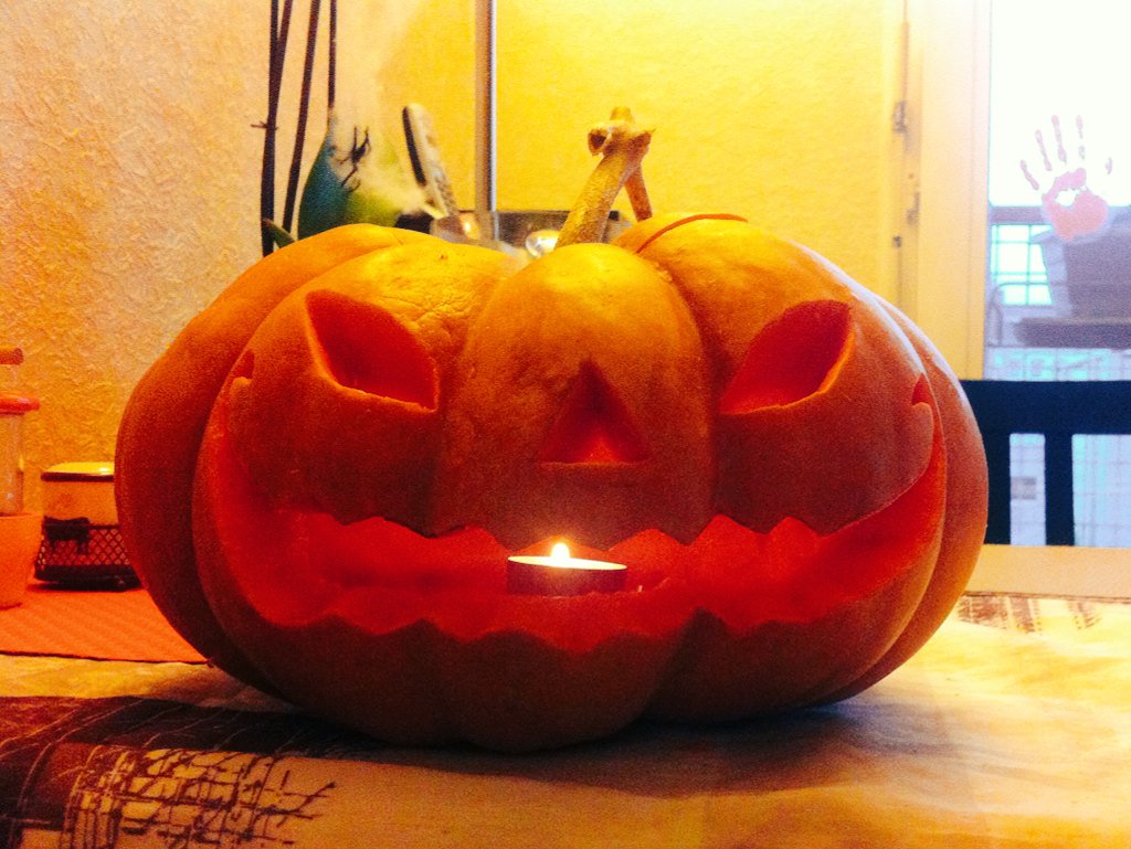 CelineMoyer's tweet photo. Deux citrouilles, deux styles et une super soirée d'halloween. Merci les filles. 🎃👻 https://t.co/AwkwpqKHXK
