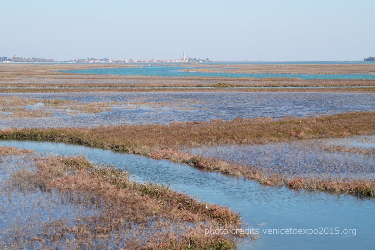VeniceToExpo's tweet photo. Chiusa #ExpoMilano2015 a #Venezia i progetti e le storie d' #acqua continuano a vivere sul #territorio metropolitano https://t.co/ILHWZjv1e7