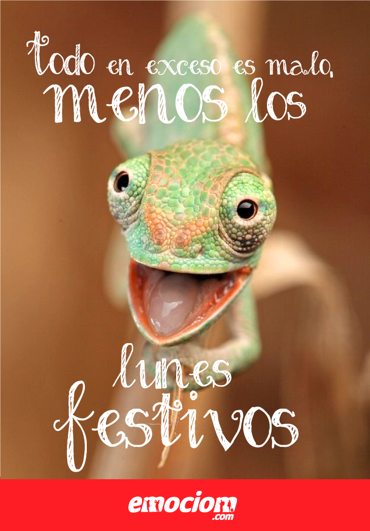 EmociomAlmeria's tweet photo. Pero cómo nos encantan los Lunes festivos https://t.co/jKwsLRRV1w