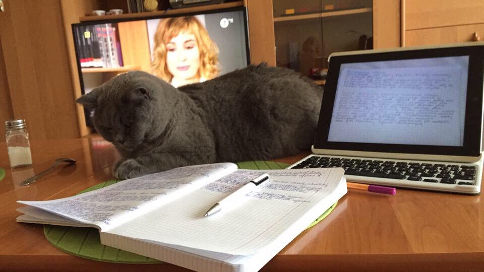 magda_siwik's tweet photo. Taki dzień. #MagdaM #PanKot #PrawoKonstytucyjne #notatki https://t.co/tzHxrJOpMk