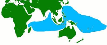 GoTcLaW's tweet photo. Asians up north, Aussies down under. #homesweethome https://t.co/0B475EE62g