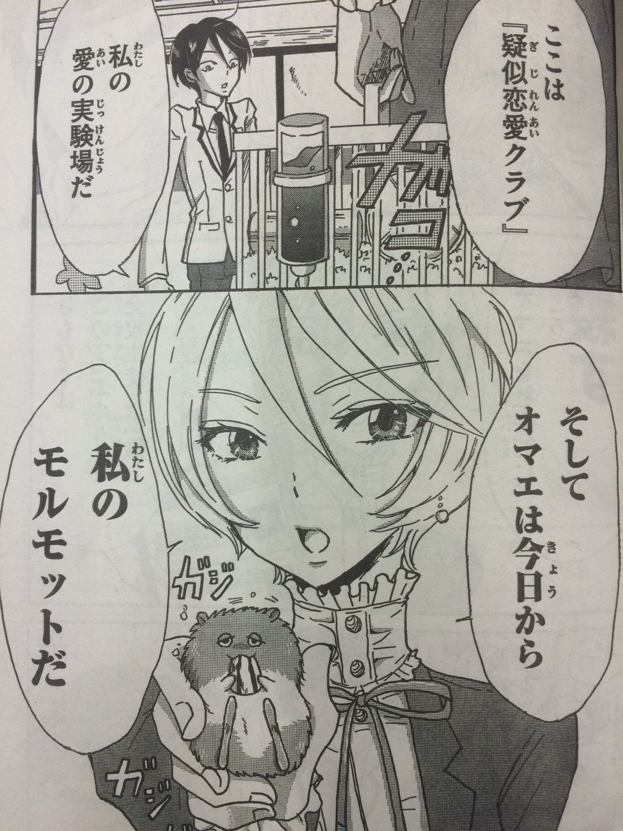 少年マガジンエッジ編集部 児玉潤 アイ先生はわからない 冷酷無慈悲な愛の実験場へ ようこそ ドs女教師に踏まれて学ぶ青春コミュニケーション物語 １話丸ごと試し読み T Co W6yzlmagmm マガジンエッジ T Co Vqwx71cttx Twitter
