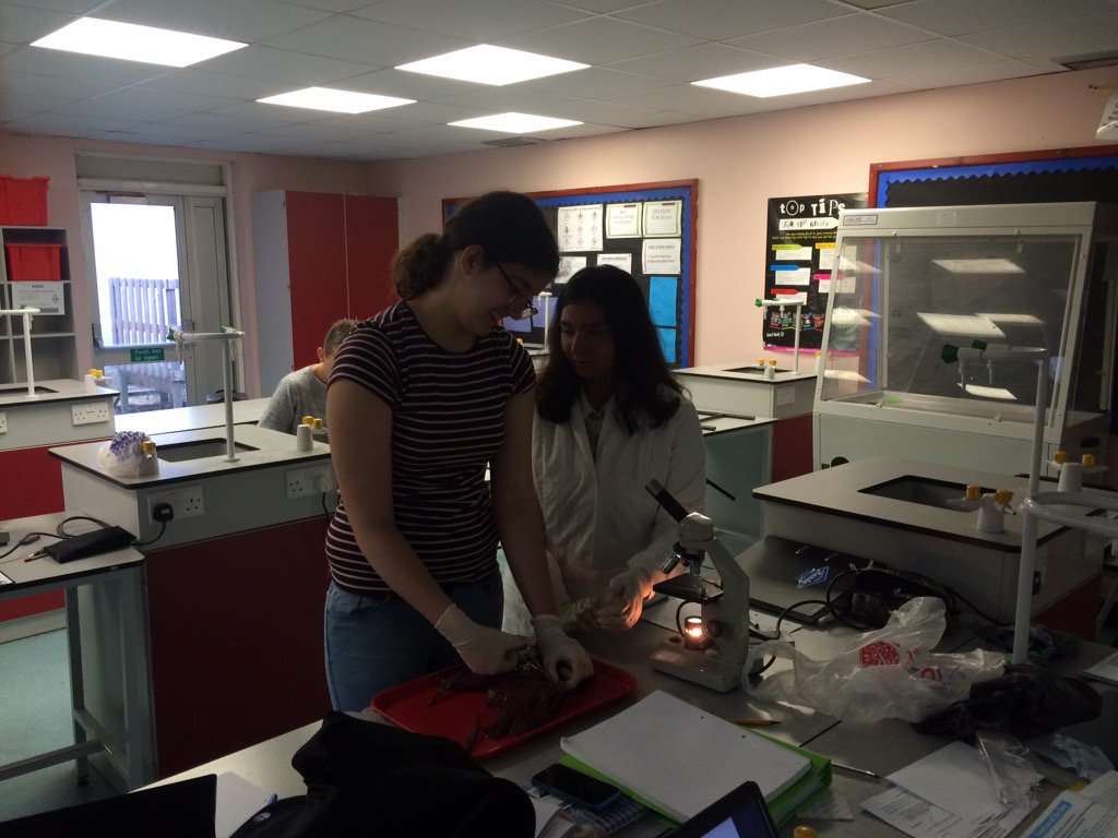 SamWardScience's tweet photo. Our A-Level Biologist had a great time dissecting the liver. #SkilledWithTheScalpel https://t.co/eNb6Y0xzg6