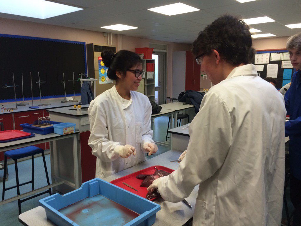 SamWardScience's tweet photo. Our A-Level Biologist had a great time dissecting the liver. #SkilledWithTheScalpel https://t.co/eNb6Y0xzg6