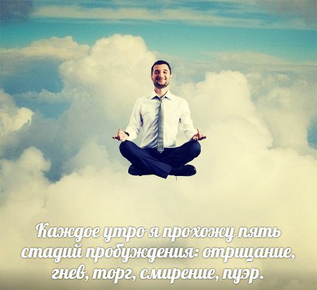 tea_haven's tweet photo. #teahaven #пей_пуэр #пуэр #puerh #шу_пуэр https://t.co/MLWhXiyNQO
