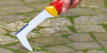 WOLFGartenUK's tweet photo. These unusually mild temperatures make ideal conditions for moss to grow.  #AutumnCleanup https://t.co/CiQjOkMPuw https://t.co/2ZP3cduNtN