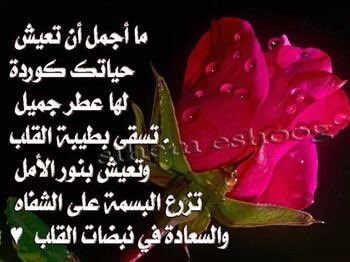 90_milad's tweet photo. إذا كانت بصمة اصبعك تميز هويتك الشخصية عن الآخرين فبصمة لسانك تميّزك في قلوب البشرفاجعلها بصمةً مميّزةً لا تشبهُ غير https://t.co/mXIU5byCIg