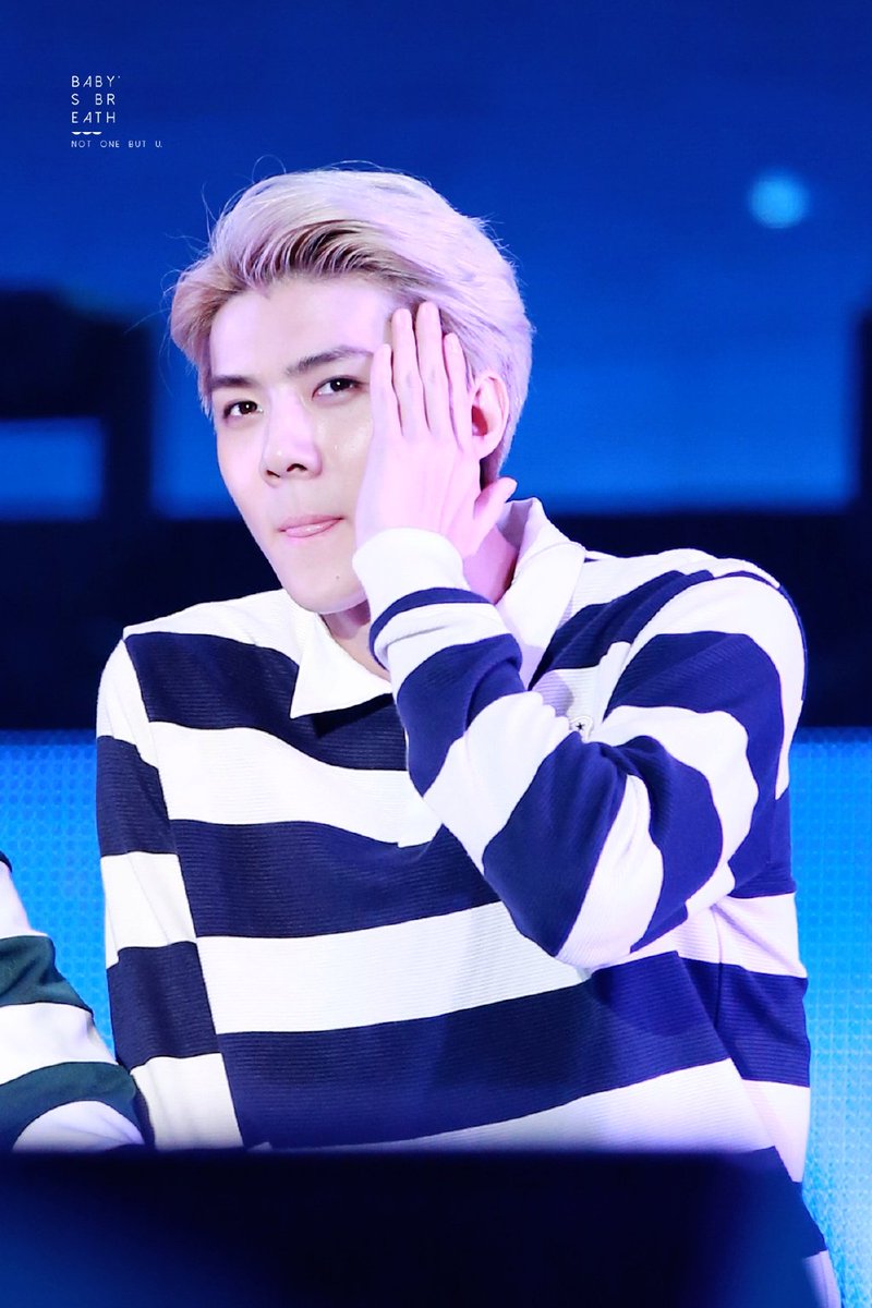 knockknock0408's tweet photo. [HQ] 151025 SEHUN cr.babysbreath
https://t.co/JLCnLxCsbY https://t.co/WvqXqpp59w