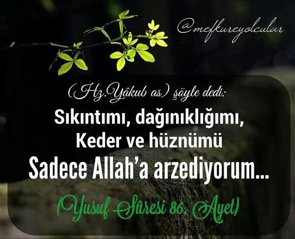 Mehmet Erbilgic (@yrdogan) on Twitter photo 