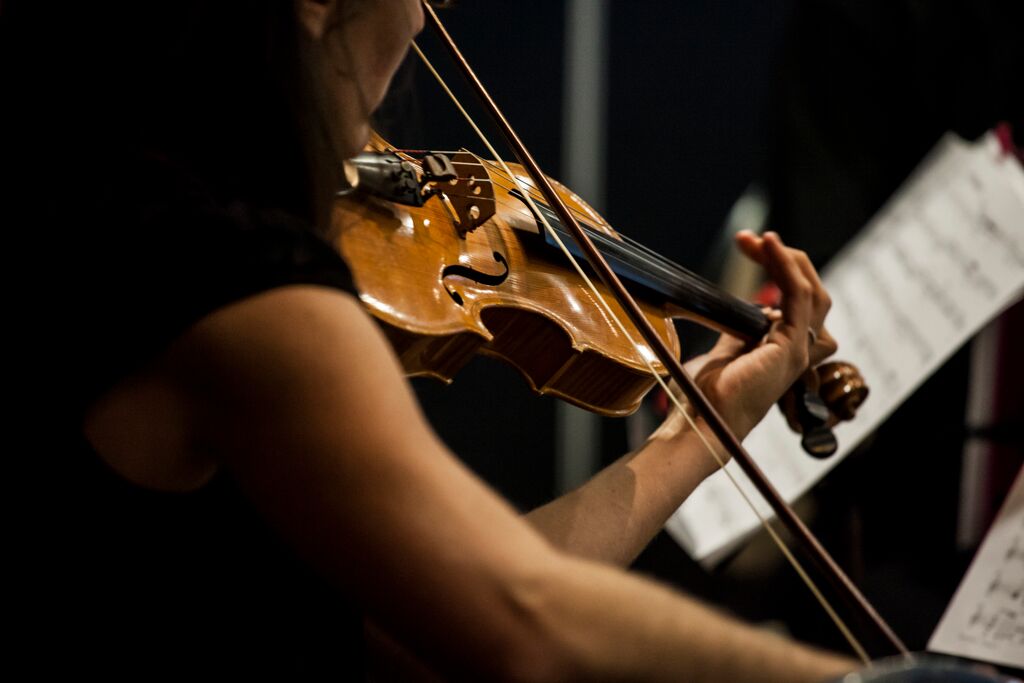 Loved the beautiful #music from the Brioso string trio #tcfladieslunch #canberra