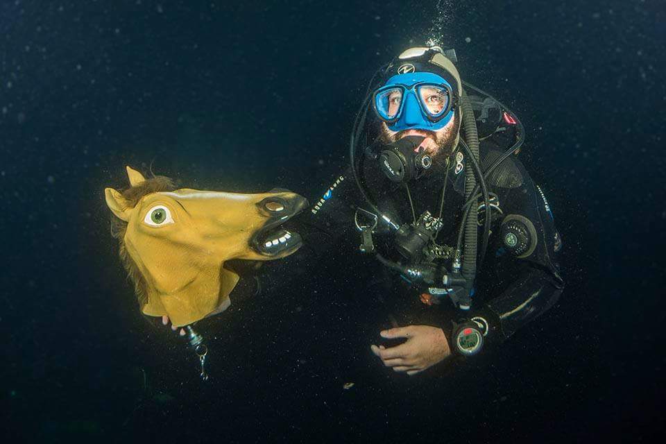 timbika's tweet image. Ehh! @H2OPALAMOSDIVE y @medusadive! Quien decía que no habían "caballitos" en el #Boreas? 😂 #Palamos #scuba #buceo