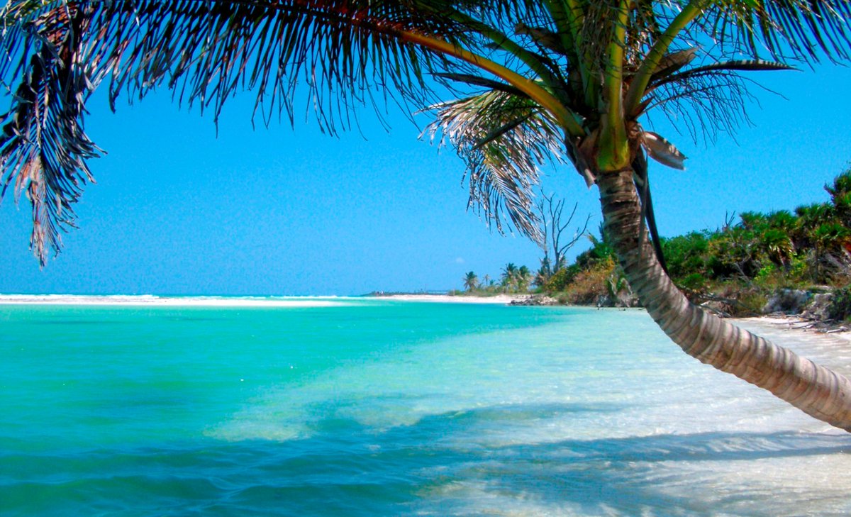 WorldGate5's tweet image. ტურისტული საგზურები შრი-ლანკაში
ჩარტერული რეისები თბილისიდან  Air Arabia
საქართველოს მოქალაქეებს ვიზა არ სჭირდებათ.