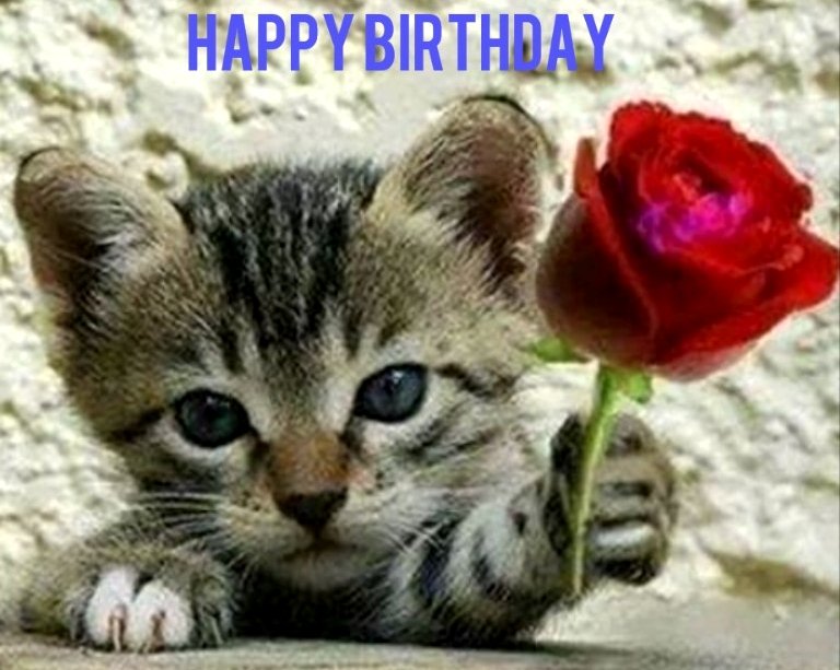 Happy Birthday to Shaq Coulthist-Danny Cipriani-Leon Taylor -Samantha Womack -Simon Hill -David Schwimmer-   