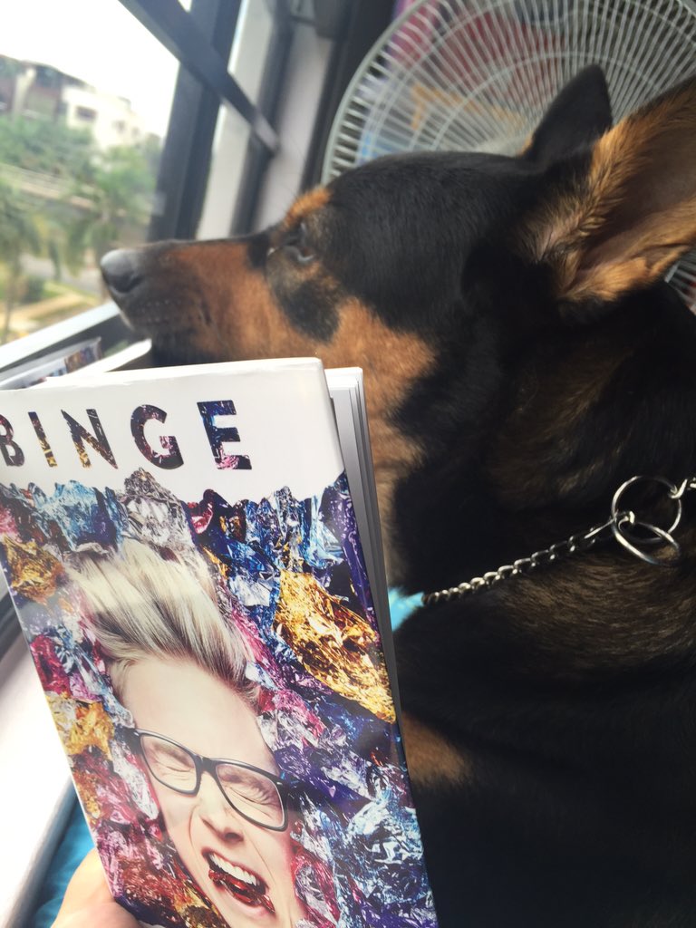 eunicewyn's tweet photo. my dog likes sniffing your book more than she likes me @tyleroakley #PetsReadingBinge https://t.co/MLzO1PGVWN