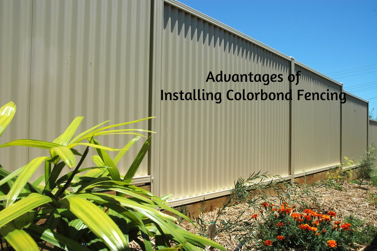 fedricdesouza's tweet photo. Advantages of Installing Colorbond Fencing @ https://t.co/pke2cteHv0 #colorbondfencing #fencingcontractors https://t.co/QPpxoT8gEn