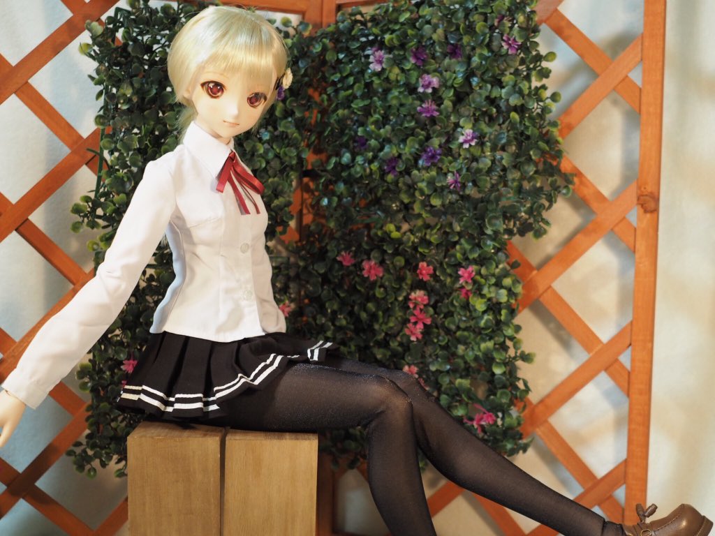 ハッシュタグ タイツの日なのでドールの可愛いタイツ画像ください ハッシュタグ タイツの日なのでドールの可愛いタイツ画像ください