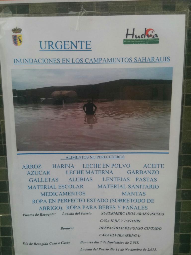 JSALucenadelPto tweet picture