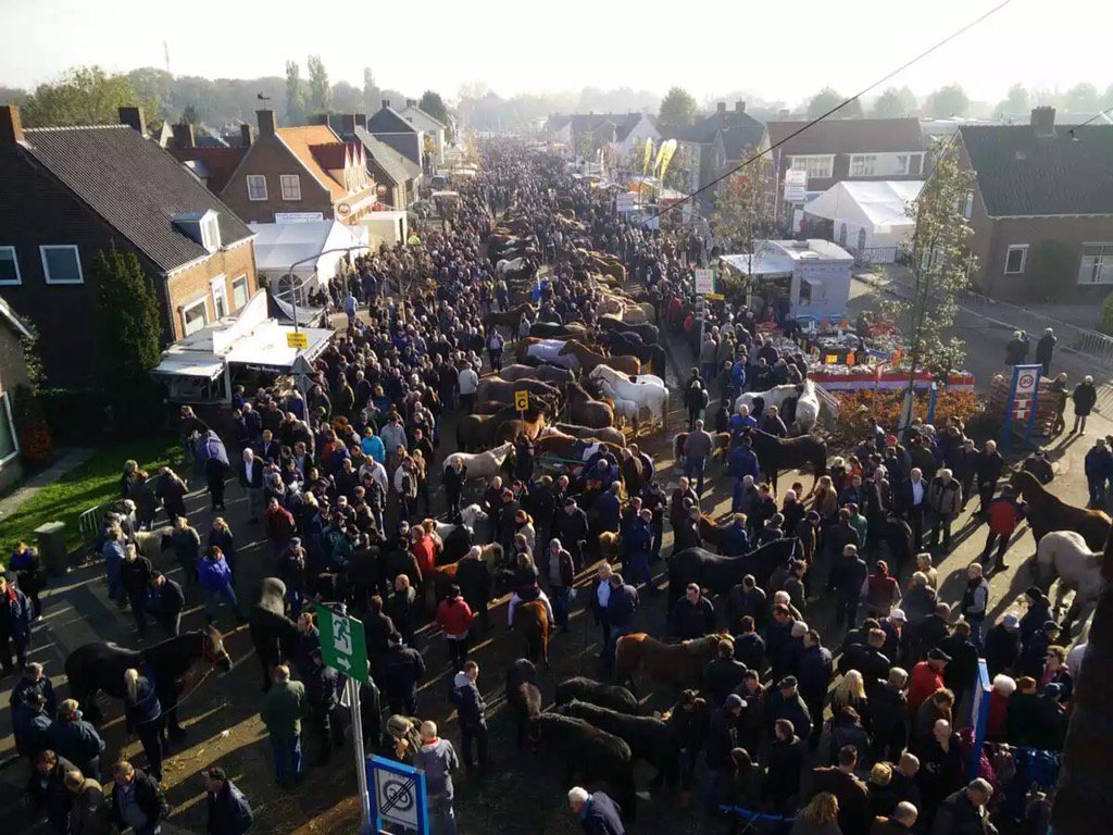 Paardenmarkt Hedel gezien vanaf Raadhuis #paardenmarkt #hedel