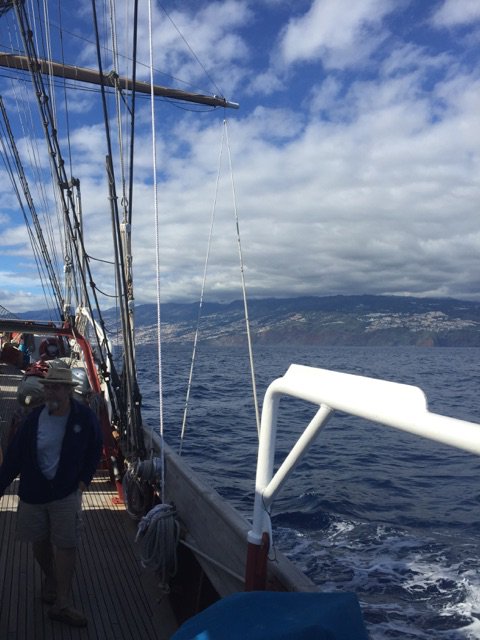 Great to catch up w/ Josh Reed '17 about his study abroad experience! sea.edu/sea_currents/c… #gomules <a href="/ColbyCollege/">Colby College</a>