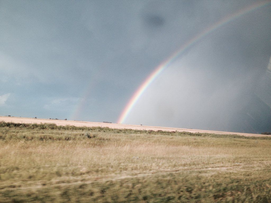 lucasjolias's tweet photo. Dark side of the grass https://t.co/pdGZFRhrni