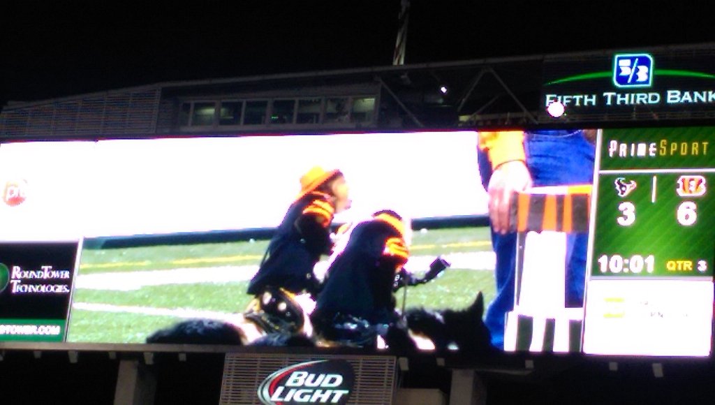 sophiahelms's tweet photo. #monkeydogs #mnf More exciting than game so far. Lets go #Bengals! @DreKirkSWAG @REALPACMAN24 @DDennard21 https://t.co/44M7Ha145k