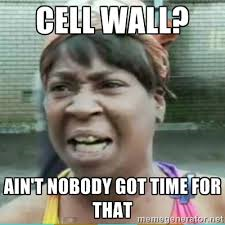Nucleus_Period5's tweet photo. #organellewars https://t.co/LcD8uB8s7T