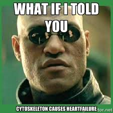 Nucleus_Period5's tweet photo. #organellewars https://t.co/qMMOyqQgKE