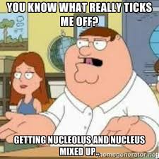 Nucleus_Period5's tweet photo. #organellewars https://t.co/Q4y7M4ivJp