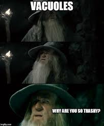 Nucleus_Period5's tweet photo. #organellewars https://t.co/GlH3LFMLL9